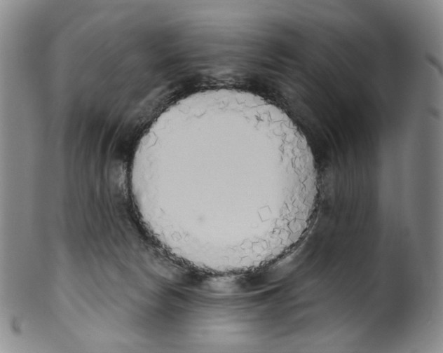 X0000100410178200806271452