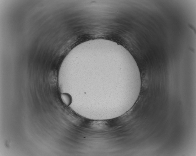 X0000100410179200806271452