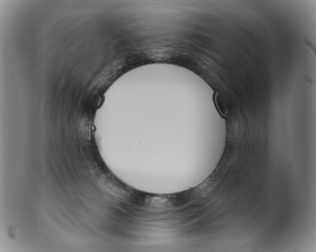 X0000100410180200806271452