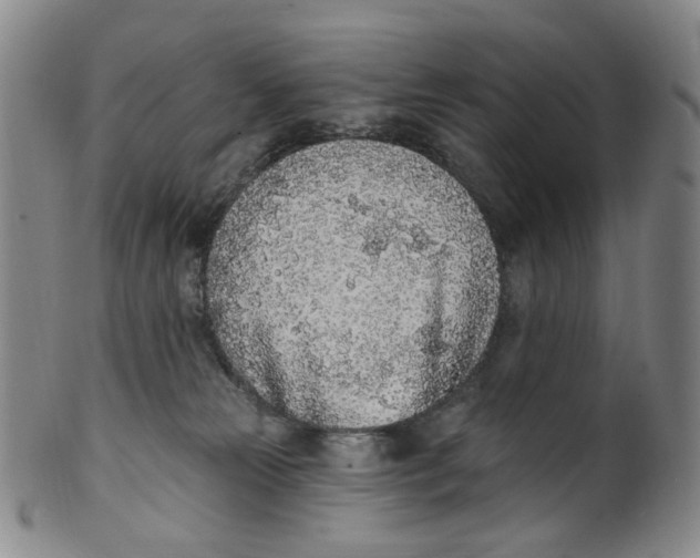 X0000100410181200806271452