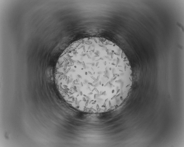 X0000100410182200806271452