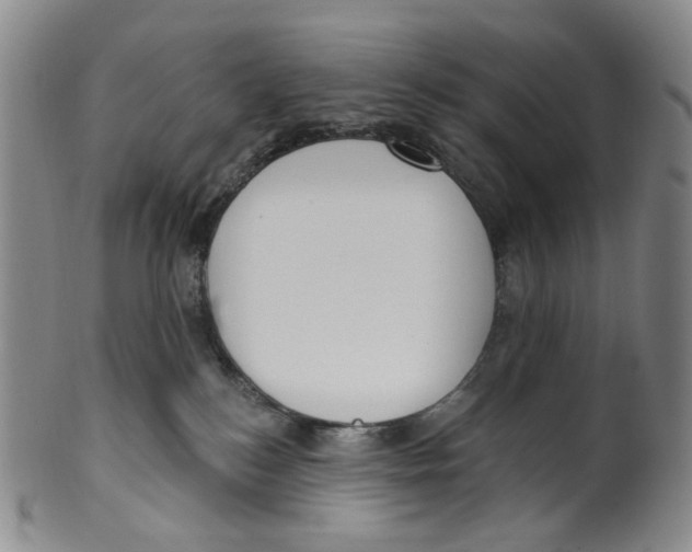 X0000100410184200806271452