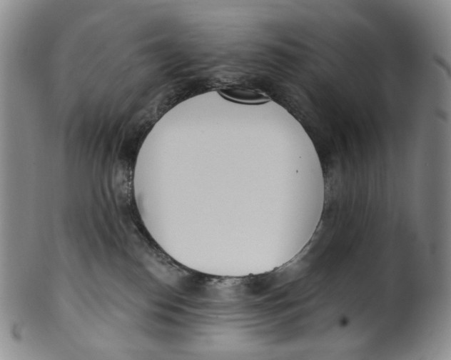 X0000100410186200806271452