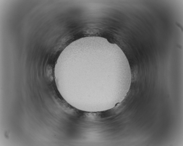 X0000100410187200806271452