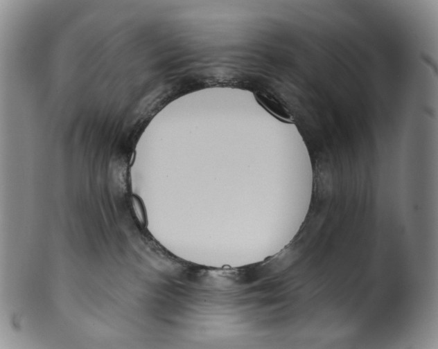 X0000100410188200806271452