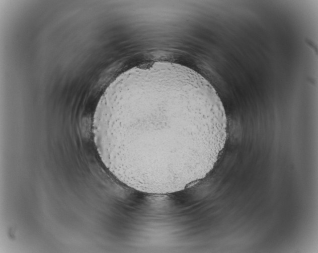 X0000100410189200806271452