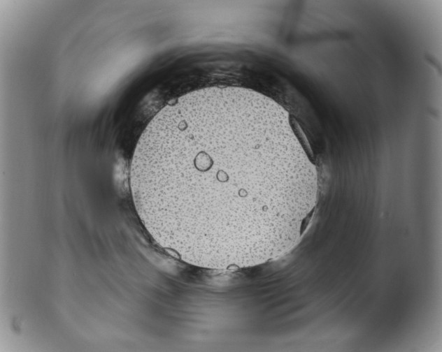 X0000100410191200806271452