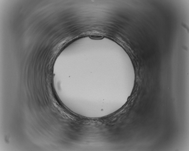 X0000100410193200806271451