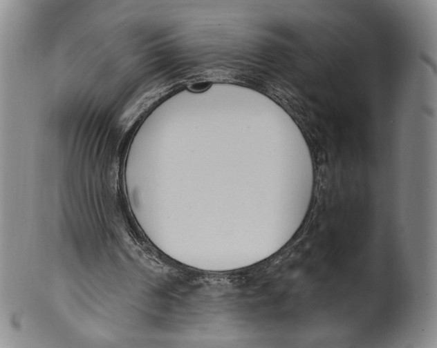 X0000100410194200806271451