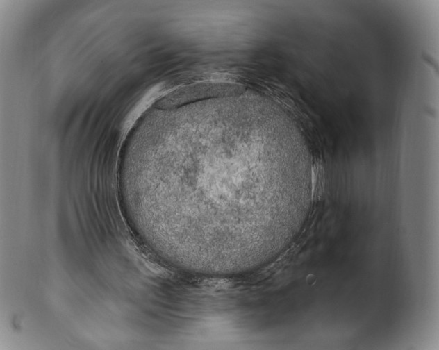 X0000100410195200806271451