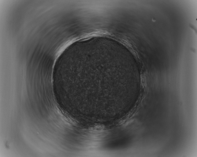 X0000100410196200806271451