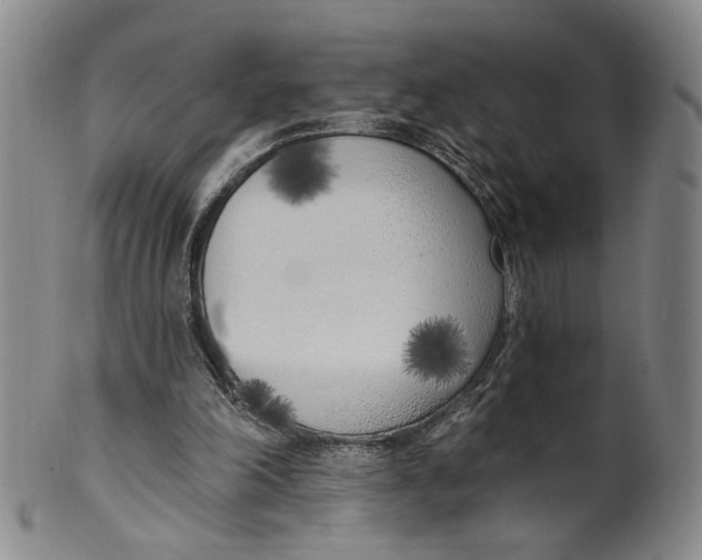 X0000100410198200806271451