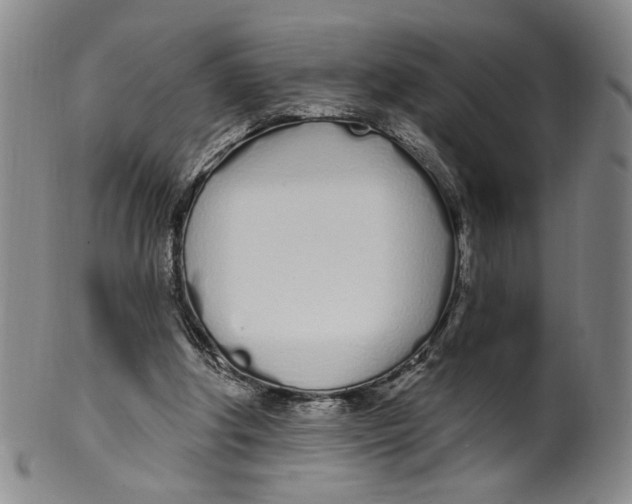 X0000100410202200806271451