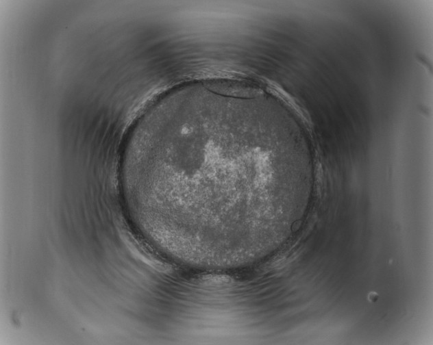 X0000100410203200806271451