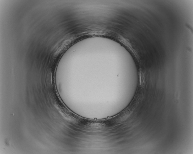 X0000100410205200806271451