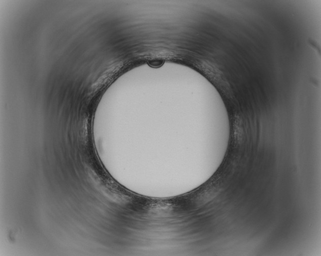 X0000100410206200806271451