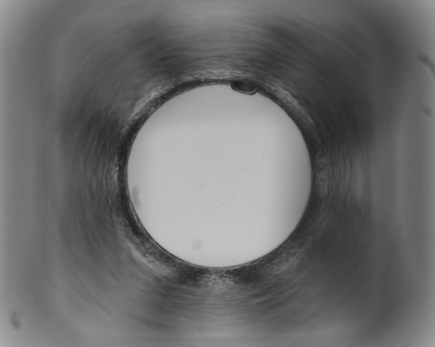 X0000100410207200806271451