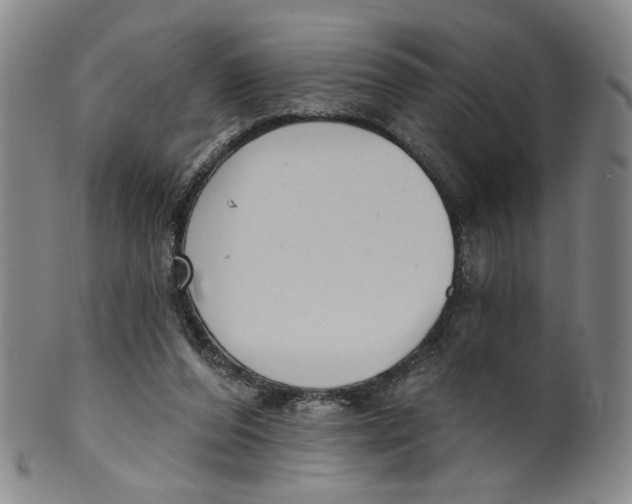 X0000100410208200806271451