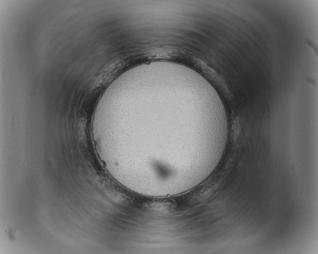 X0000100410209200806271451