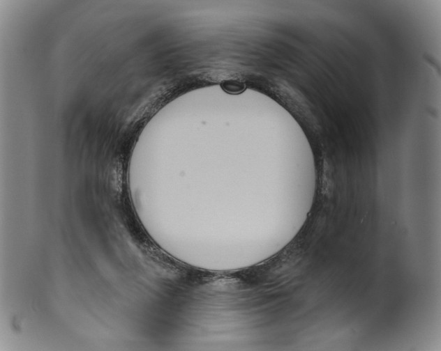 X0000100410210200806271451