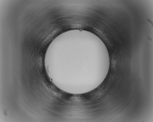 X0000100410211200806271451