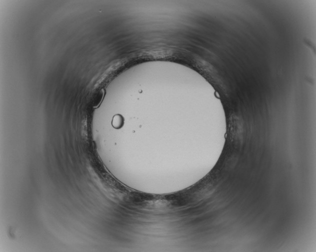 X0000100410212200806271451