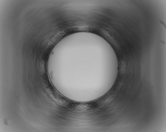 X0000100410213200806271451