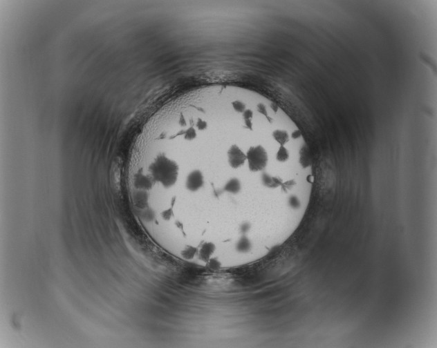 X0000100410214200806271451