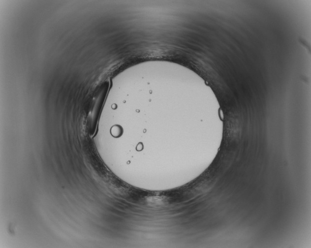 X0000100410216200806271451