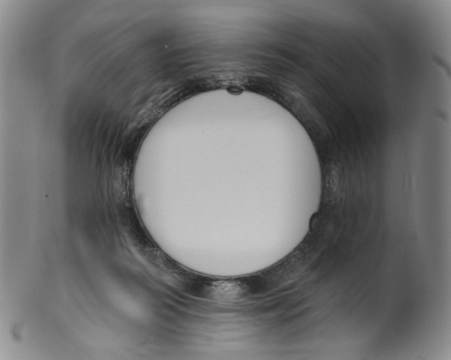 X0000100410218200806271451