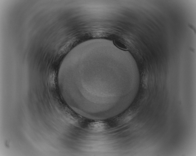 X0000100410219200806271451