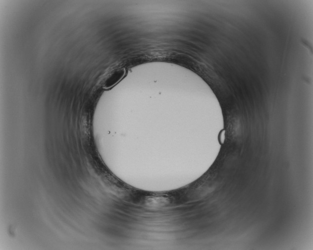 X0000100410220200806271451