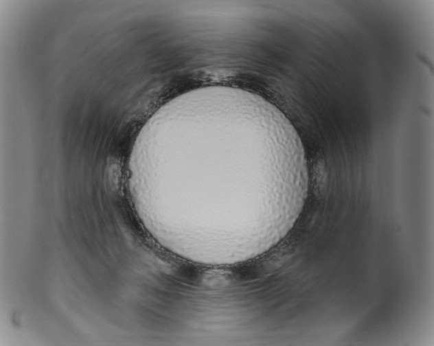 X0000100410222200806271451