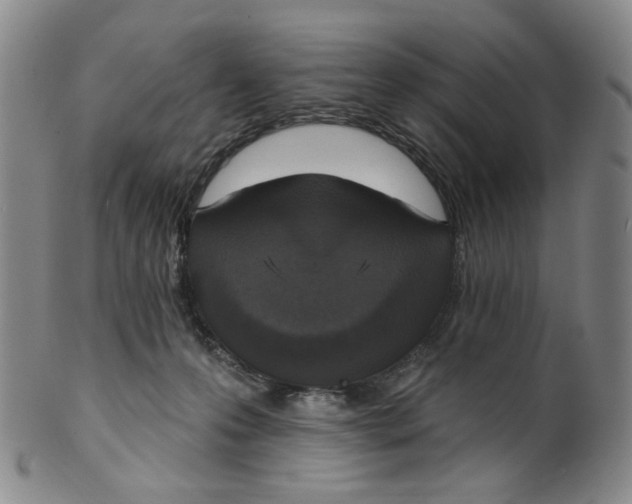 X0000100410223200806271451