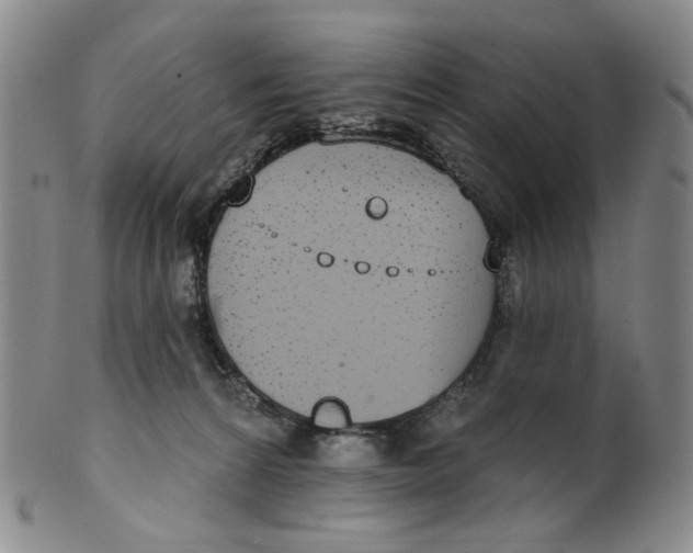 X0000100410224200806271451