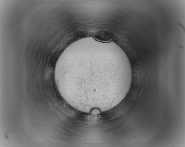 X0000100410225200806271451