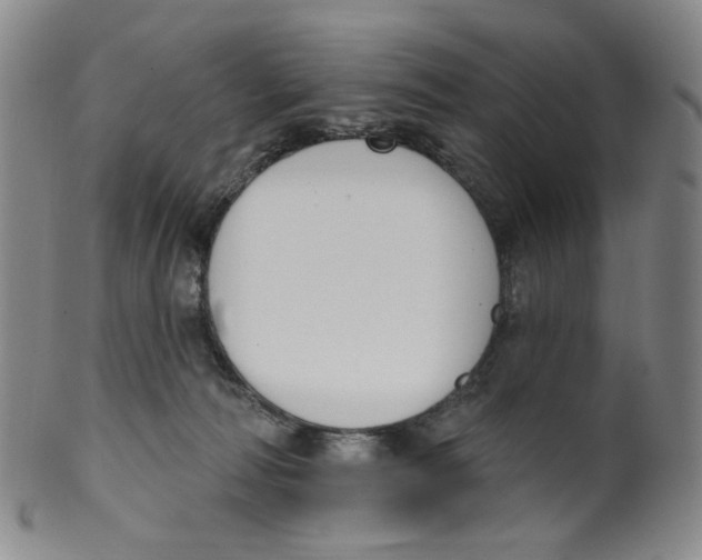 X0000100410226200806271451