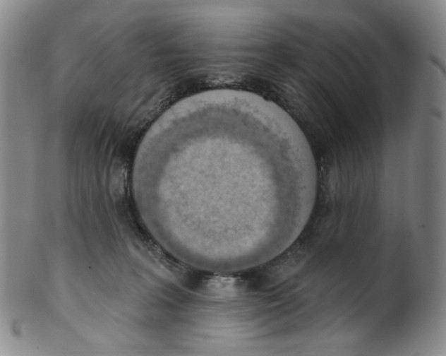 X0000100410227200806271451