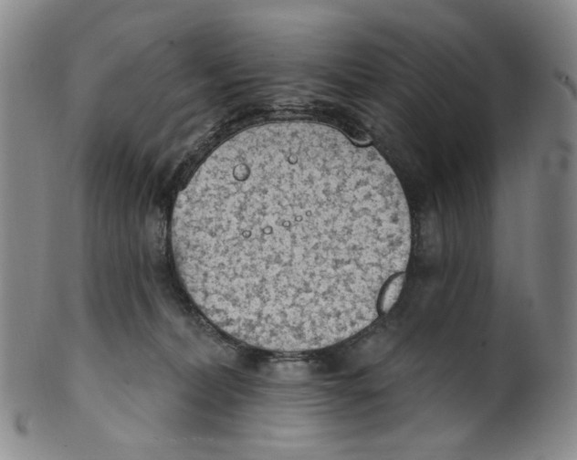 X0000100410228200806271451