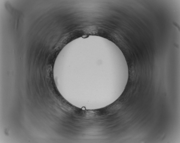 X0000100410229200806271451