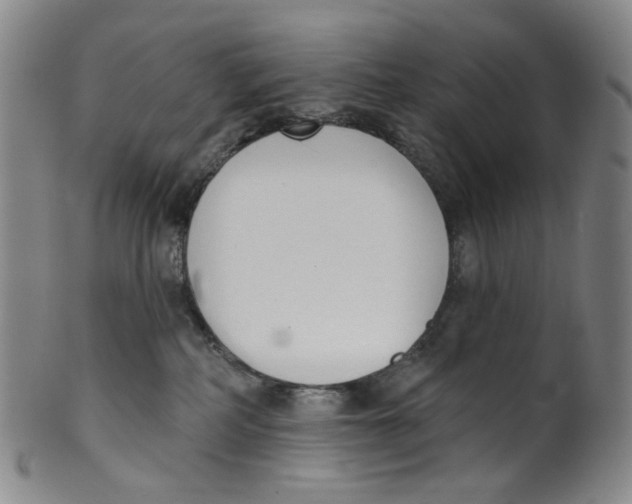 X0000100410234200806271451