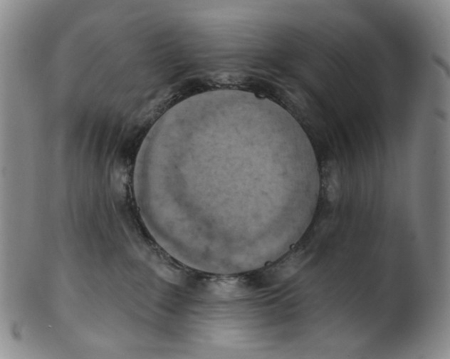 X0000100410235200806271451