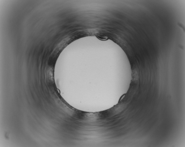 X0000100410238200806271451