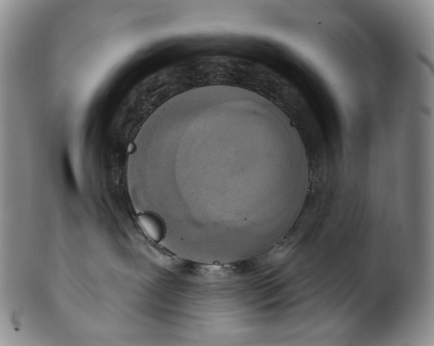 X0000100410239200806271451