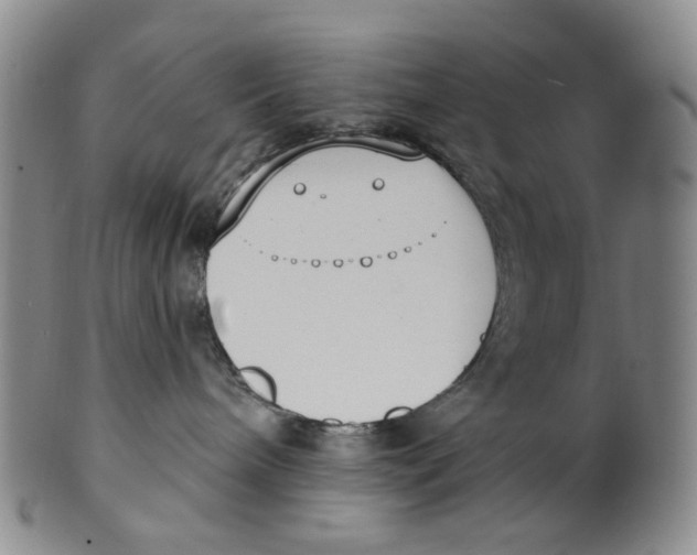 X0000100410240200806271451