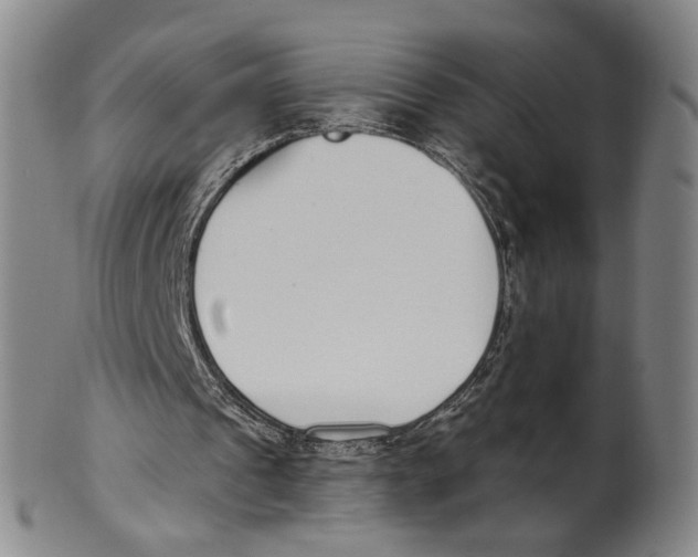 X0000100410241200806271450