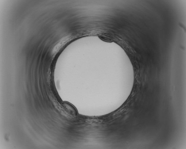 X0000100410242200806271450