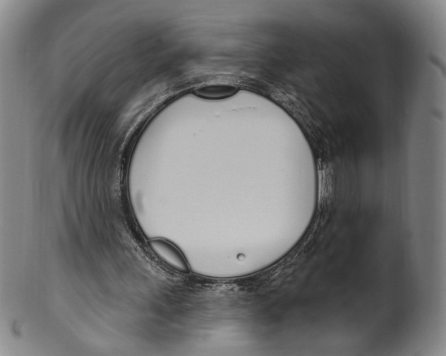 X0000100410243200806271450