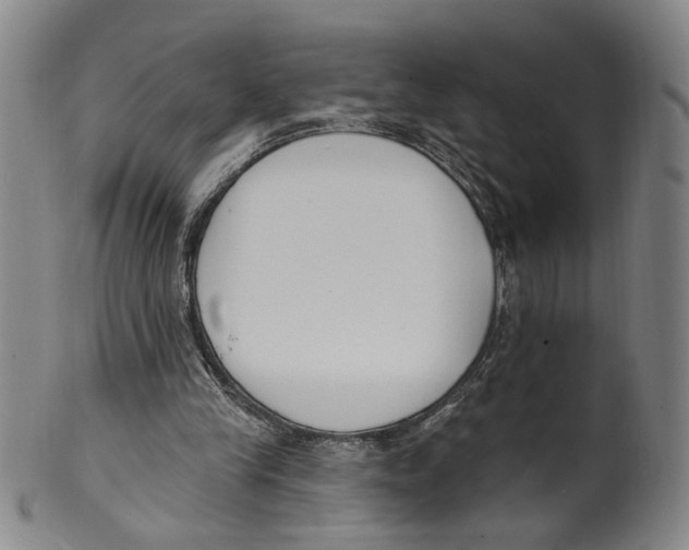 X0000100410245200806271450