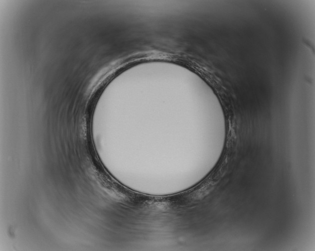 X0000100410247200806271450